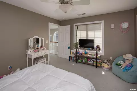 104 9th St, Hampton, IL 61256 photo 33