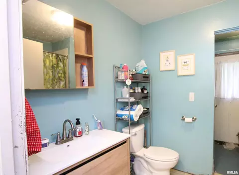 16156 Strawberry Rd, Morrison, IL 61270 photo 4
