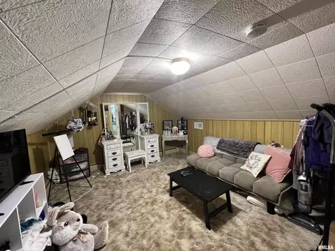 540 E Thorn St, Marion, IL 62959 photo 14