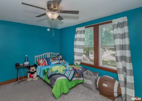 209 E 2nd Ave, Milan, IL 61264 photo 17