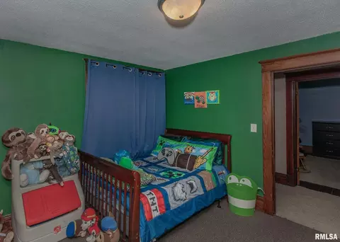 209 E 2nd Ave, Milan, IL 61264 photo 19