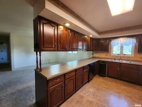 5 Willow Ln, Anna, IL 62906 photo 4