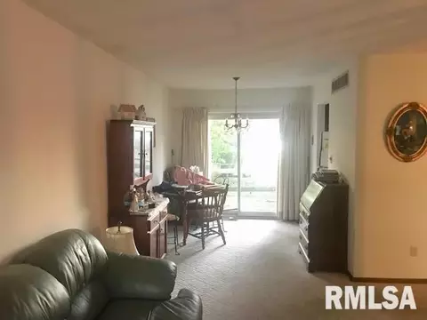 413 2nd Ave, Hampton, IL 61256 photo 6