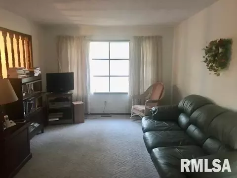 413 2nd Ave, Hampton, IL 61256 photo 5