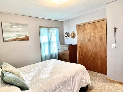1117 Norlawn Dr, Viola, IL 61486 photo 23
