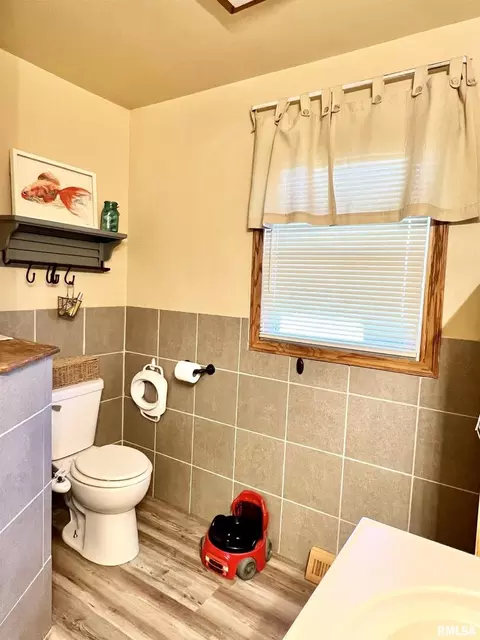 1117 Norlawn Dr, Viola, IL 61486 photo 20