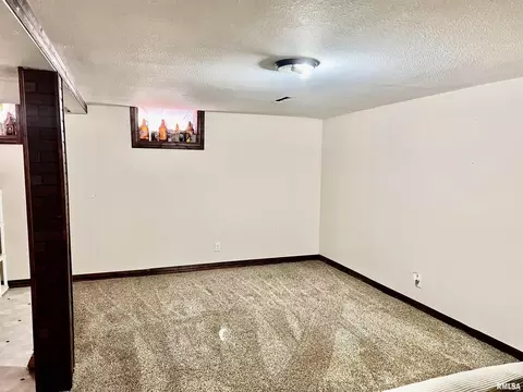 1117 Norlawn Dr, Viola, IL 61486 photo 32