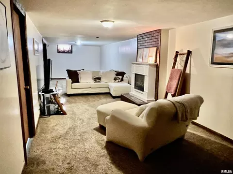 1117 Norlawn Dr, Viola, IL 61486 photo 28