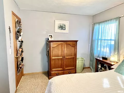 1117 Norlawn Dr, Viola, IL 61486 photo 22