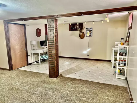 1117 Norlawn Dr, Viola, IL 61486 photo 33