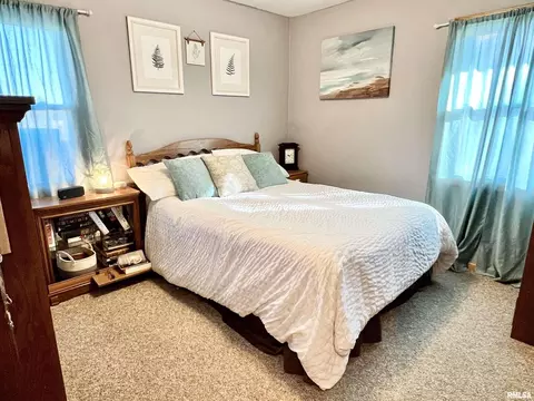 1117 Norlawn Dr, Viola, IL 61486 photo 21