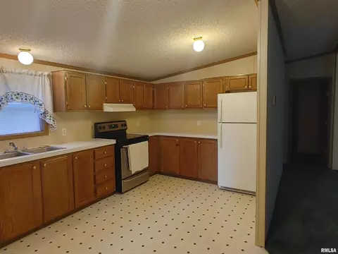 22949 243rd St, Eldridge, IA 52748 photo 10