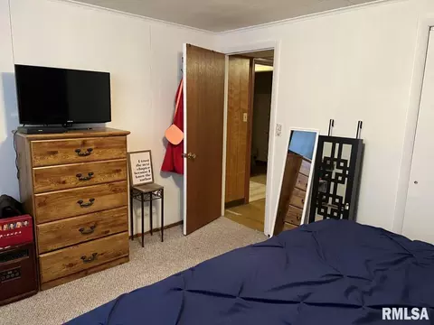 537 Beach St S, Kewanee, IL 61443 photo 34