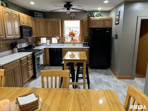 246 Dwight St, Kewanee, IL 61443 photo 10