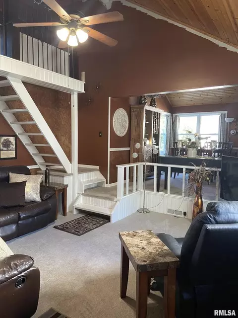 3934 Grandview Pl, Thomson, IL 61285 photo 10