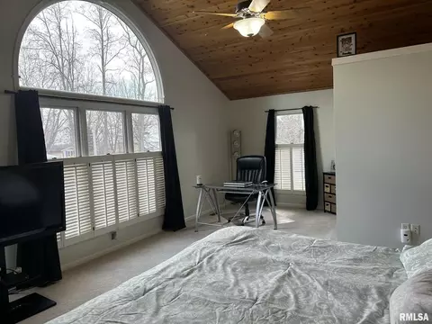 3934 Grandview Pl, Thomson, IL 61285 photo 14
