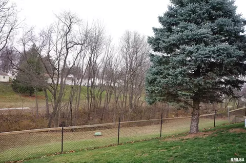 10 Hillside Ct, Eldridge, IA 52748 photo 39
