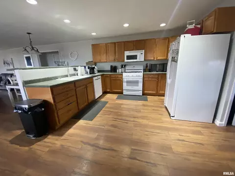 611 W Sylvester Ave, Christopher, IL 62822 photo 18