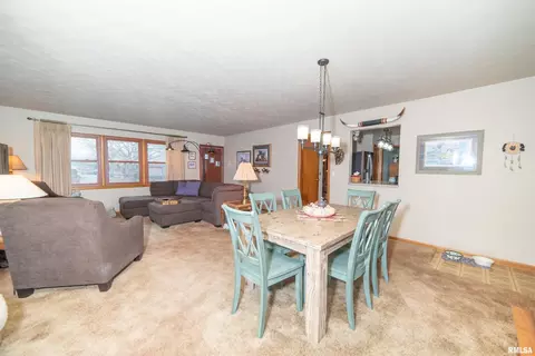 205 31st Ave, Moline, IL 61265 photo 13