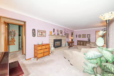 205 31st Ave, Moline, IL 61265 photo 15