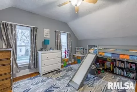 403 E Orange St, Geneseo, IL 61254 photo 20