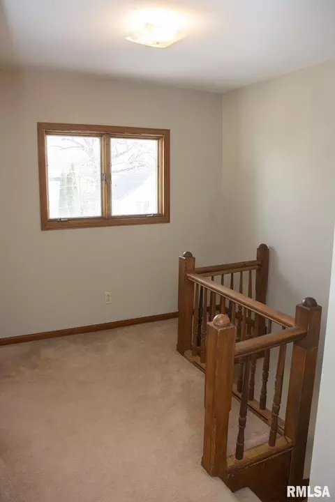 409 S Genesee St, Morrison, IL 61270 photo 19