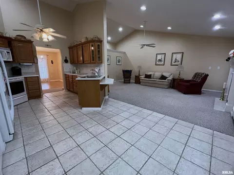 600 Legacy Dr, Herrin, IL 62948 photo 6