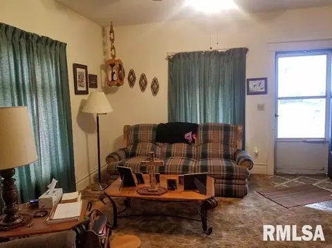 207 E Main St, Joy, IL 61260 photo 13