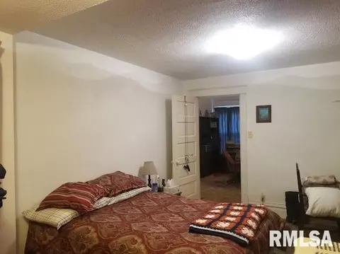 207 E Main St, Joy, IL 61260 photo 15