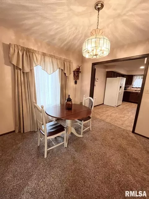 44 Blackberry Ln, Herrin, IL 62948 photo 5