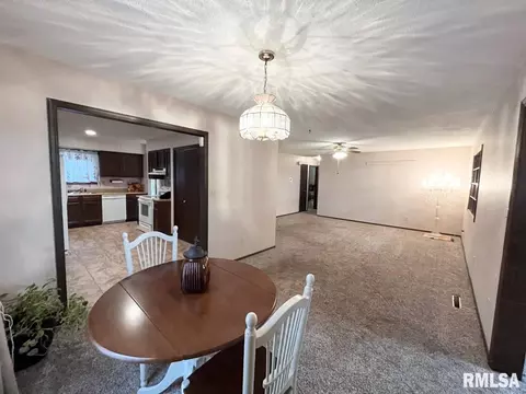 44 Blackberry Ln, Herrin, IL 62948 photo 6