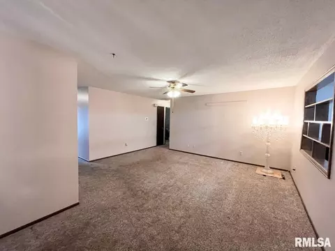 44 Blackberry Ln, Herrin, IL 62948 photo 7