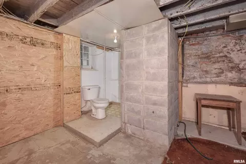 704 11th Ave, Orion, IL 61273 photo 36