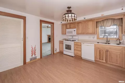 704 11th Ave, Orion, IL 61273 photo 21