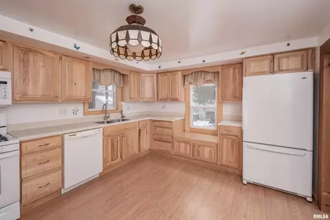 704 11th Ave, Orion, IL 61273 photo 22