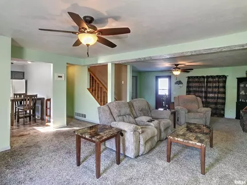 309 W 2nd St, Atkinson, IL 61235 photo 4