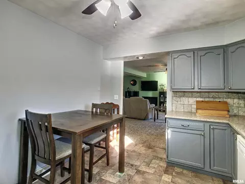 309 W 2nd St, Atkinson, IL 61235 photo 8