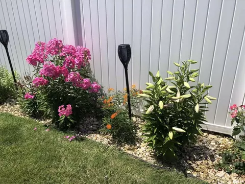 2307 19th Ave, Moline, IL 61265 photo 27