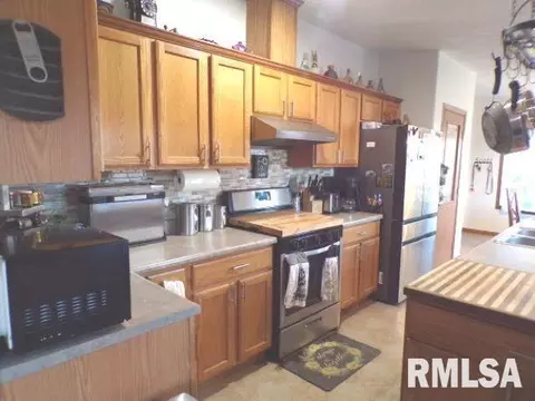 1059 Brickyard Ln, Aledo, IL 61231 photo 8