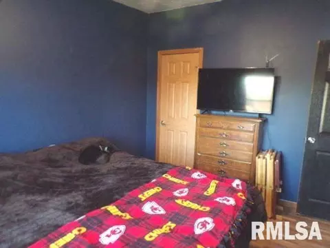 1059 Brickyard Ln, Aledo, IL 61231 photo 14