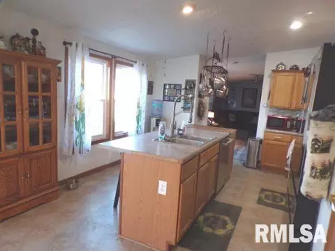 1059 Brickyard Ln, Aledo, IL 61231 photo 7