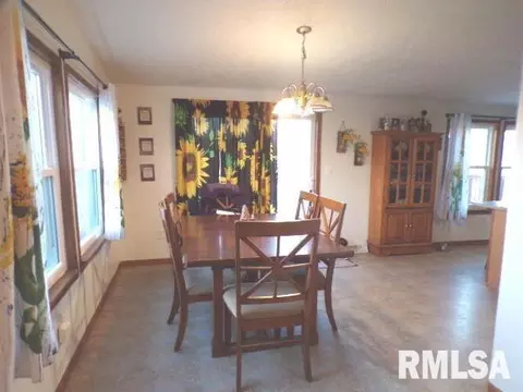 1059 Brickyard Ln, Aledo, IL 61231 photo 10