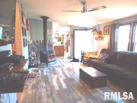 1059 Brickyard Ln, Aledo, IL 61231 photo 12