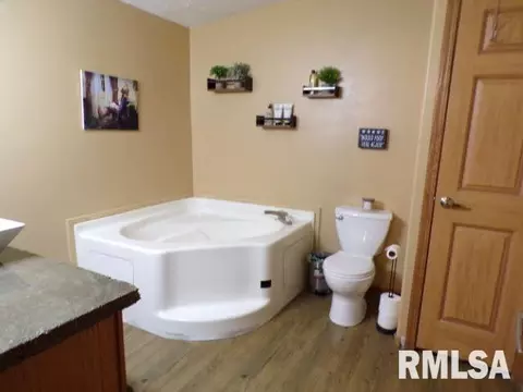 1059 Brickyard Ln, Aledo, IL 61231 photo 21