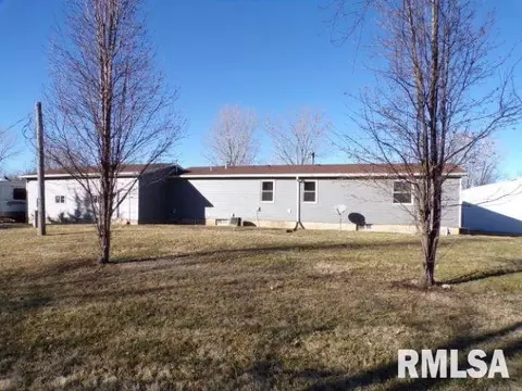 1059 Brickyard Ln, Aledo, IL 61231 photo 5