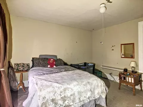 829 7th Ave, Fulton, IL 61252 photo 13