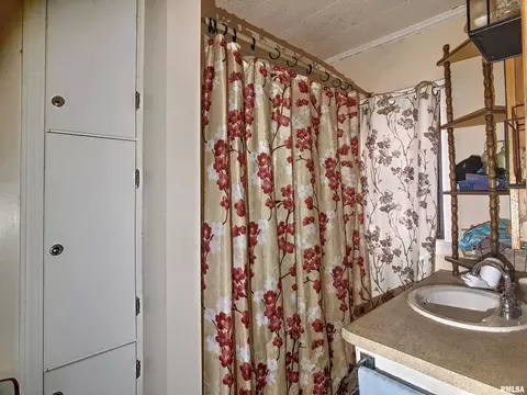 829 7th Ave, Fulton, IL 61252 photo 11