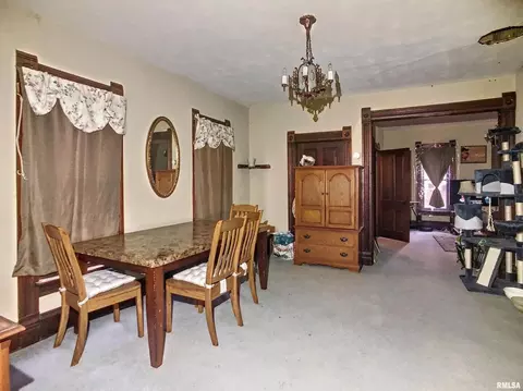 829 7th Ave, Fulton, IL 61252 photo 7