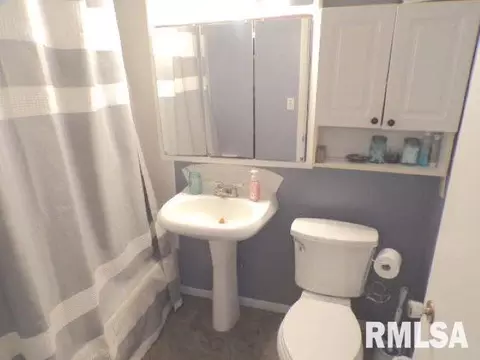 796 240th St, Viola, IL 61486 photo 24