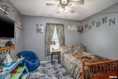4964 Evergreen Ct, Thomson, IL 61285 photo 17